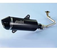 POLINI Maxi-Scooter Pot d'échappement complet - aluminium noir SYM