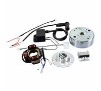 Échappement Moto Complet POLINI PUCH Maxi 1965-1970 200.0427