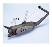 Polini Échappement original pour Kymco People 2tps