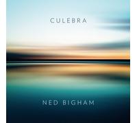 Polish National Radio Symphony Orchestra - Ned Bigham: Culebra [Import]