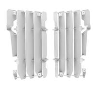 Polisport Grille de radiateur pour Beta RR 2T/4T 13-20 Blanc