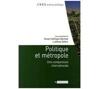 Politique Et Métropole - Une Comparaison Internationale