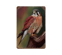 POLIUAWS American Kestrel Falcon Affiche Rétro En Métal, Plaque Décorative Chic, Peinture Sur Fer Rétro, Décoration Murale Pour Bar, Café, Garage Familial11.8 x7.9