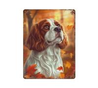 POLIUAWS Cavalier King Charles Spaniel Autumn Portrait Plaques En Métal - Décoration Murale Pour Piscine, Clubs, Bars, Sealine15.7 x11.8
