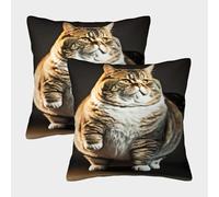 POLIUAWS Coussins décoratifs Grumpy Cat pour Chambre à Coucher, lavables en Machine, Lot de 2, 45 x 45 cm