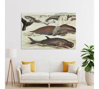 POLIUAWS Décorations murales cétacés pour chambres à coucher, impressions sur toile pour occasions spéciales, 40 x 60 cm (16 x 24 pouces)