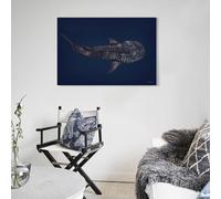 POLIUAWS Illustration de requin-baleine pour salon ou salle de bain de style rustique - Impression d'art moderne 20x30 pouces (50x75cm)