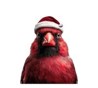 POLIUAWS Kit de broderie diamant « Cardinal rouge portant un bonnet de Père Noël » - Loisirs créatifs pour adultes - 40 x 50 cm