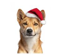 POLIUAWS Kit de peinture diamant « Dingo avec bonnet de Père Noël » (40 x 50 cm) - Loisirs créatifs - Cadeau d'anniversaire pour adultes et filles