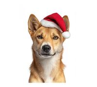 POLIUAWS Kit de peinture diamant DIY « Dingo avec bonnet de Père Noël » (perles rondes, outils, 30 x 40 cm) pour adultes (loisirs créatifs).