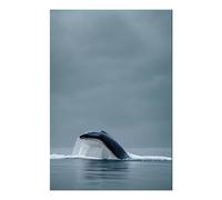 POLIUAWS Kit de peinture diamant « Monstres marins » (8 x 12 pouces) à faire soi-même, avec outils et perles rondes. Idéal pour les adultes.