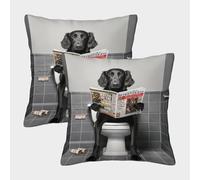 POLIUAWS Lot de 2 taies d'oreiller Flat Coated Retriever, en Satin Doux pour la Peau et Les Poils, Taille Standard, Fermeture Portefeuille, 45 x 45 cm.