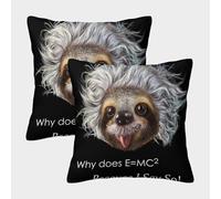 POLIUAWS Oreillers Paresseux Professeur Einstein Pas Chers, Housses de Coussin de Noël, infroissables et Respirantes, Lot de 2, 45 x 45 cm