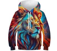 POLIUAWS Sweat à Capuche Enfant en 3D avec Lion Mystique, Pull pour Filles et garçons, vêtements de Sport Tendance pour Jeunes, Manches Longues, 13-15 Ans