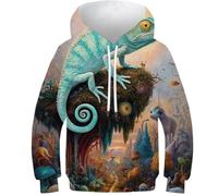 POLIUAWS Sweat à Capuche Enfant imprimé 3D « Merveilles Magiques caméléon », Unisexe, Manches Longues, Pull décontracté et Amusant, 13-15 Ans