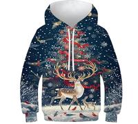 POLIUAWS Sweat à capuche imprimé 3D de chèvre animal pour enfants, sweatshirt décontracté, survêtement décontracté à manches longues, hauts, veste pull, New_year Deer, 9-11 ans
