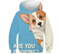 POLIUAWS Sweat-Shirts 3D pour garçons, Motif Corgi Qui Regarde, est-ce Que tu Fais Caca ? Sweat à Capuche imprimé, Manches Longues, Manches Longues, avec Poche, Taille 10-12 Ans.