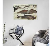 POLIUAWS Tableau mural Cétacés pour chambre à coucher, salon, enfants, fille, garçon, cadeau d'anniversaire, œuvre d'art 12x18 pouces (30x45cm)