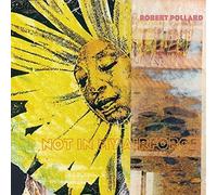 Pollard - Not in My Airforce [Import]