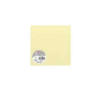 POLLEN Pack de 25 Carte Simple 210g 160x160 canari