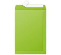 Pollen Pochette 229x324 menthe Pqt de 200 G