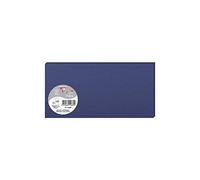 POLLEN Pqt de 25 Carte Simple 210g 106x213 bleu nuit
