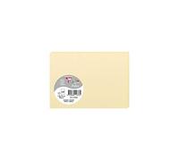 POLLEN Pqt de 25 Carte Simple 210g 110x155 chamois