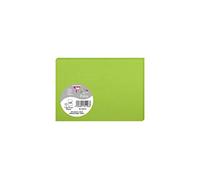 POLLEN Pqt de 25 Carte Simple 210g 110x155 vert menthe
