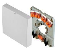 Pollmann HAD4-S Boîtier de Raccordement Cuisinière avec Bornes Wago | Connexion sans vis jusqu'à 6 mm2, décharge de traction P-FIX pivotante et double sortie de câble pour montage mural