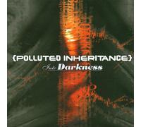 Polluted Inheritance - Into Darkness