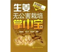 Pollution-Free Cultivation of Ginger Palm Pilot (Chinese Edition)