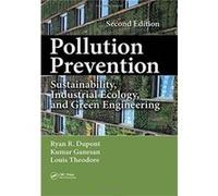Pollution Prevention Ryan Dupont, Kumar Ganesan, Louis Theodore (Auteur)