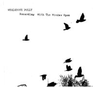 Polly Whalebone - Recording with The Window Open [Import]
