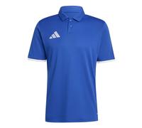 Polo adidas Entrada26 Bleu L Male