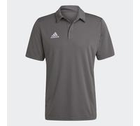 adidas Homme Entrada 22 Polo Shirt, Team Grey Four, XL