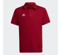 adidas Unisex Kids Polo Shirt Ent22 Polo Y, Tepore, H57495, 116 EU