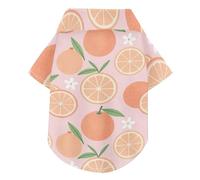Polo léger et respirant pour animal de compagnie Motif pamplemousse orange fruits d'été pour animal domestique Idéal pour un usage quotidien et des séances photo
