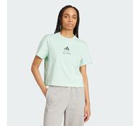 POLO MERCEDES - AMG PETRONAS FORMULA ONE TEAM Frozen Green / Grey Strata 2XS