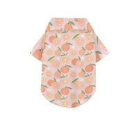 Polo pour animal domestique avec boutons - Motif pamplemousse et orange - Parfait pour un usage quotidien et une séance photo - Taille 3XL