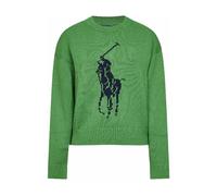 Polo Ralph Lauren Pull-over bleu marine / vert, Taille S