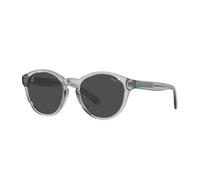 Polo Ralph Lauren - Lunettes de soleil - unisex - Accessoires - Gris - Taille: 51 MM