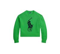 Polo Ralph Lauren Pull-over bleu marine / vert, Taille S