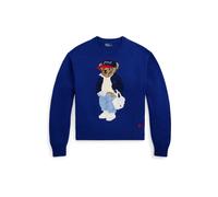 Polo Ralph Lauren Pull-over bleu roi / noisette / rouge / blanc, Taille S