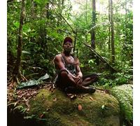 Polobi & the Gwo Ka Masters - Abri Cyclonique [New CD]