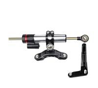 POLOFZFGKZ Pour Kawasaki Ninja ZX-6R 636 2013-2025 Support D'amortisseur De Direction Pour Moto Stabilisateur D'amortisseur de Direction(Silver Damper)