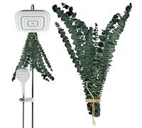 pologmase Branches D'eucalyptus Séchées, À Suspendre, Véritable GuirlanD'eucalyptus pour La, Lot Feuilles D'eucalyptus Naturelles Vivantes Et Aromatiques À Suspendre