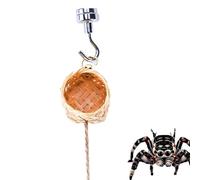 Poludatly Jumping Spider Hi-de, boîtier d'araignée sautante, Grotte d'araignée sautante, Habitat d'araignée sautant avec Corde d'escalade, Accessoires de clôture d'araignée pour Reptiles