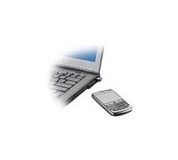 Poly BT300-M - Adaptateur réseau - USB - Bluetooth 2.0