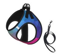 Polygone Multicolore composé de Triangles Arc-en-Ciel,Harnais pour Animaux de Compagnie, Harnais réfléchissant réglable pour Chien,S