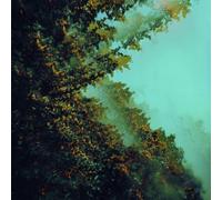 Polymoon - Caterpillars of creation